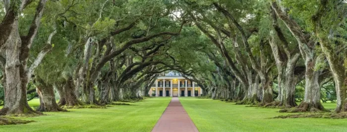 Framed Print : United States, Louisiana, Vacherie. Historic Oak Alley Plantation Framed Print : United States, Louisiana, Vacherie. Historic Oak Alley Plantation