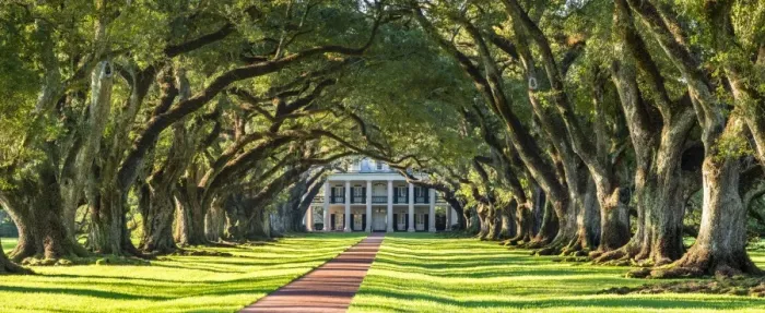 Framed Print : United States, Louisiana, Vacherie. Historic Oak Alley Plantation Framed Print : United States, Louisiana, Vacherie. Historic Oak Alley Plantation