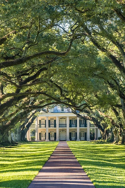 United States, Louisiana, Vacherie. Historic Oak Alley Plantation