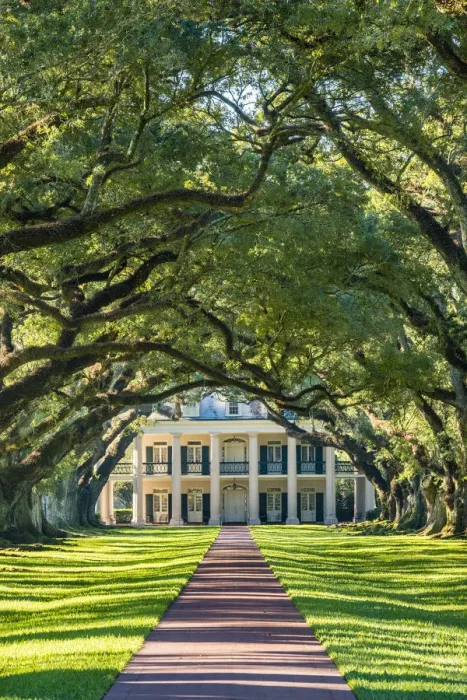 Framed Print : United States, Louisiana, Vacherie. Historic Oak Alley Plantation Framed Print : United States, Louisiana, Vacherie. Historic Oak Alley Plantation