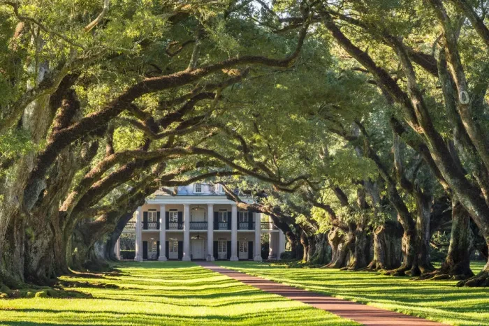 Framed Print : United States, Louisiana, Vacherie. Historic Oak Alley Plantation Framed Print : United States, Louisiana, Vacherie. Historic Oak Alley Plantation