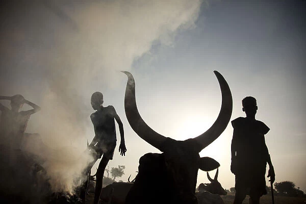 Unity State, South Sudan. A cattle camp at dawn near Leer