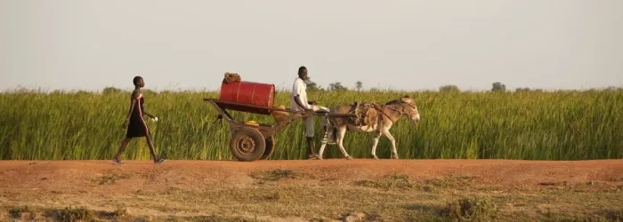 Framed Print : Unity State, South Sudan. Transporting goods in Leer Framed Print : Unity State, South Sudan. Transporting goods in Leer