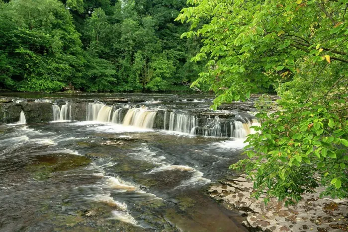 Framed Print : Upper Aysgarth Falls, River Ure, Aysgarth, Yorkshire Dales National Park, England Framed Print : Upper Aysgarth Falls, River Ure, Aysgarth, Yorkshire Dales National Park, England