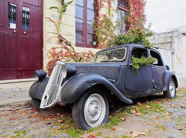 Uruguay, Colonia Department, Colonia del Sacramento, Vintage car on the cobblestone
