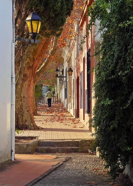 Uruguay, Colonia Department, Colonia del Sacramento, View of the historic quarter