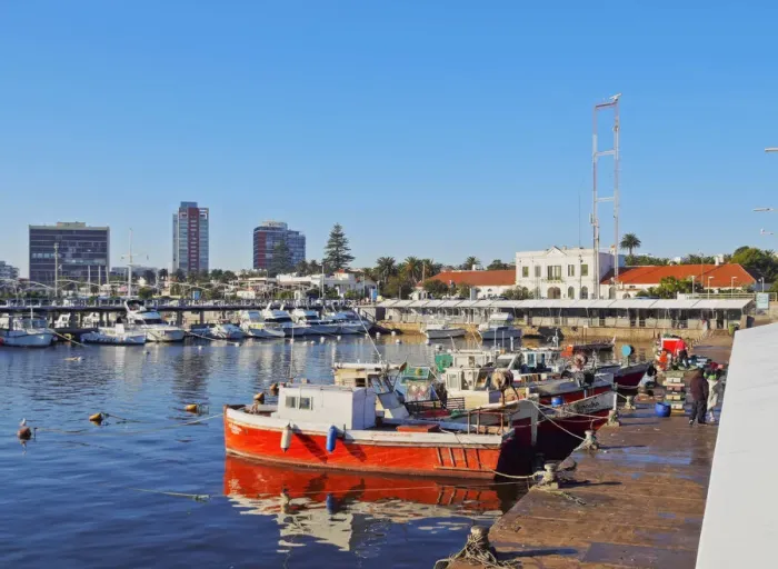 Framed Print : Uruguay, Maldonado Department, Punta del Este, View of the harbour Framed Print : Uruguay, Maldonado Department, Punta del Este, View of the harbour