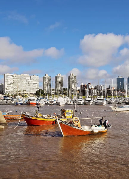 Uruguay, Montevideo, Little Port in Buceo Neighbourhood