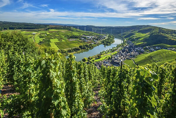 Urzig with the new Mosel bridge, Mosel valley, Rhineland-Palatinate, Germany