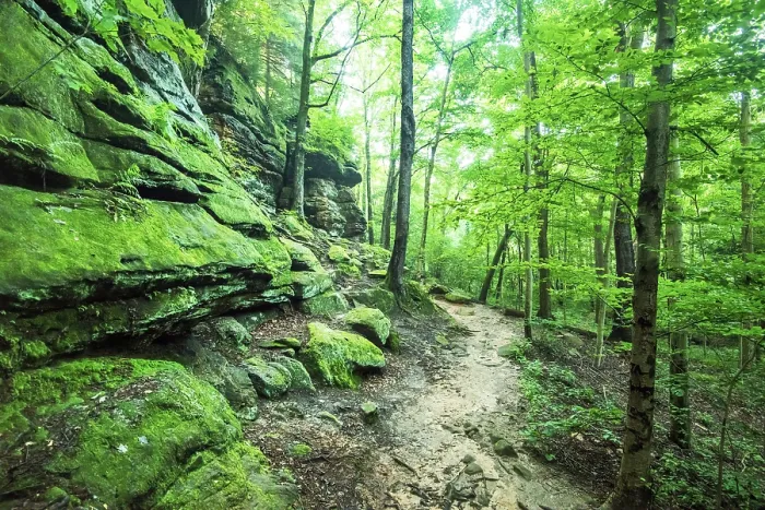 Framed Print : USA, Akron, Ohio, The Ledges Is A Trail Of Ancient Towering Rock Formations And Sandstone Cliffs, Cuyahoga Valley National Park Framed Print : USA, Akron, Ohio, The Ledges Is A Trail Of Ancient Towering Rock Formations And Sandstone Cliffs, Cuyahoga Valley National Park