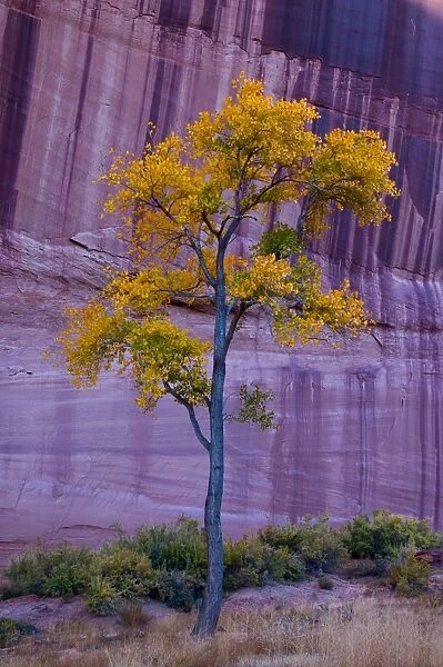 USA, Arizona, Canyon de Chelly National Monument