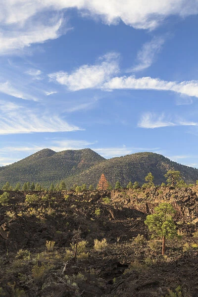 USA, Arizona, Flagstaff, Sunset Crater National Monument, Cinder Cones and Volcanic