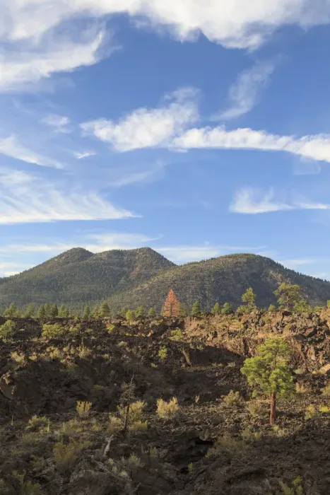 Framed Print : USA, Arizona, Flagstaff, Sunset Crater National Monument, Cinder Cones and Volcanic Framed Print : USA, Arizona, Flagstaff, Sunset Crater National Monument, Cinder Cones and Volcanic