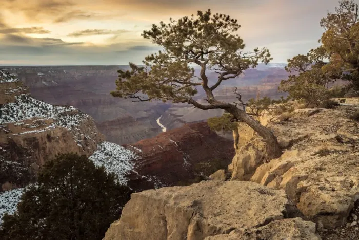 Framed Print : USA, Arizona, Grand Canyon, National Park, UNESCO, World Heritage Framed Print : USA, Arizona, Grand Canyon, National Park, UNESCO, World Heritage