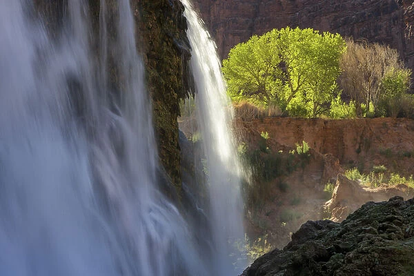 USA, Arizona, Grand Canyon National Park, Havasu Canyon, Navajo Falls