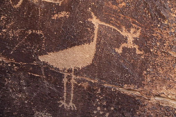 USA, Arizona, Holbrook, Petrified Forest National Park, Ancient Petroglyphs