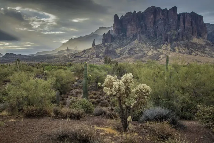 Framed Print : USA, Arizona, Southwest, Maricopa County, Apache Junction, Lost Dutchman State Park Framed Print : USA, Arizona, Southwest, Maricopa County, Apache Junction, Lost Dutchman State Park