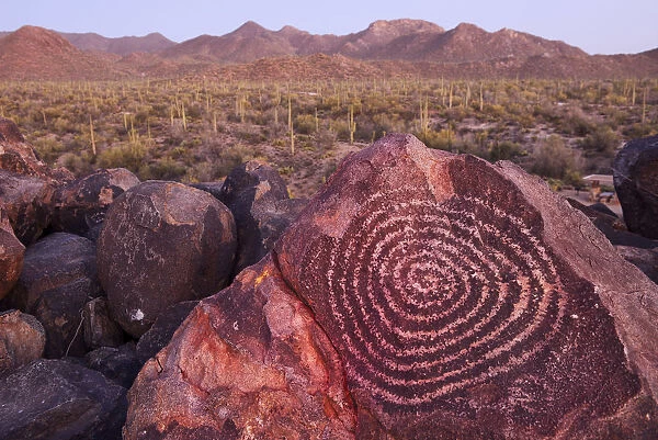 USA, Arizona, Tucson, Sonoran desert, Saguaro National Park, Ancient Petroglyph at dusk
