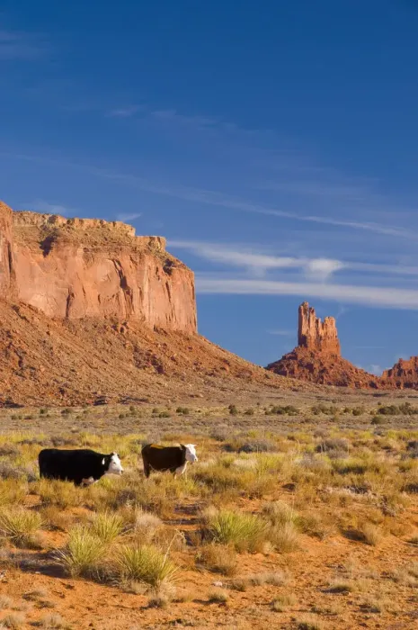 Framed Print : USA, Arizona-Utah, Monument Valley