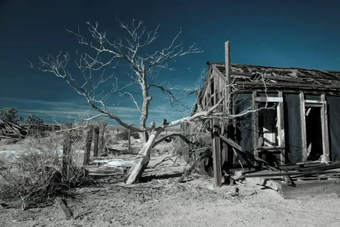 Framed Print : USA, California, Cima, Mojave National Preserve, abandoned Mojave Desert ranch, winter Framed Print : USA, California, Cima, Mojave National Preserve, abandoned Mojave Desert ranch, winter