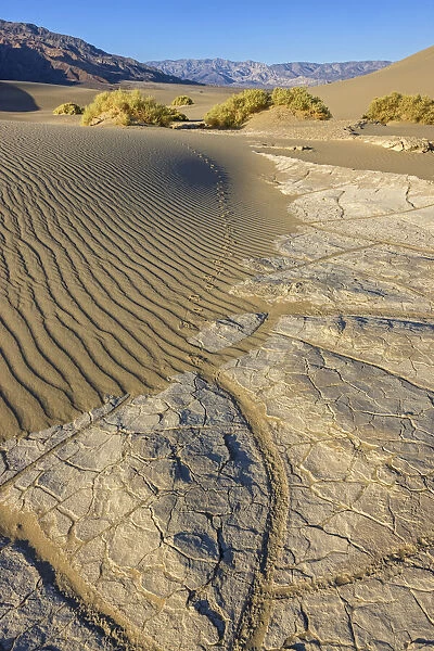 USA, California, Death Valley National Park, Mesquite Sand Dunes