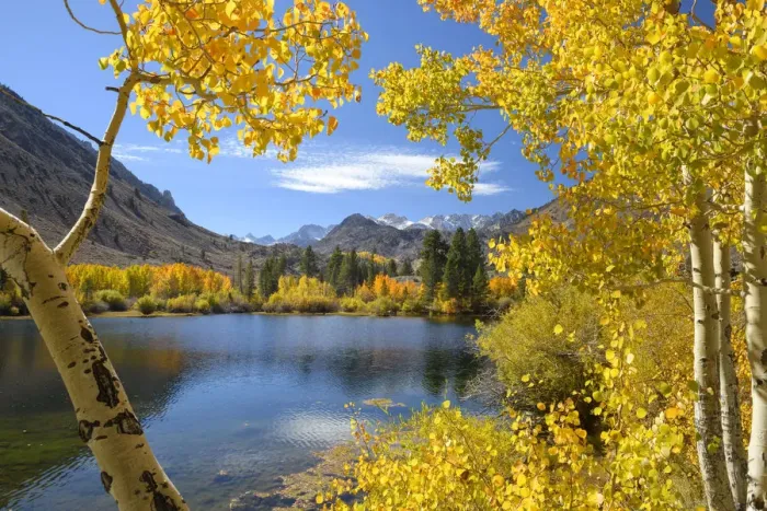 Framed Print : USA, California, Eastern Sierra, Bishop, Bishop creek in fall
