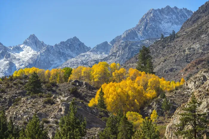 Framed Print : USA, California, Eastern Sierra, Bishop, Bishop creek in fall