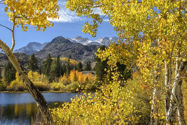 USA, California, Eastern Sierra, Bishop, Bishop creek in fall