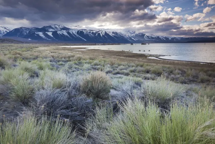 Framed Print : USA, California, Eastern Sierra Nevada Area, Lee Vining, Mono Lake, mountain landscape Framed Print : USA, California, Eastern Sierra Nevada Area, Lee Vining, Mono Lake, mountain landscape