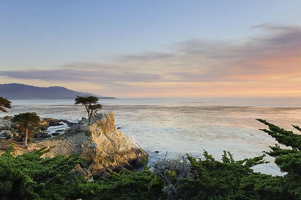 USA, California, Monterey Peninsula, 17 mile drive, Lone Cypress