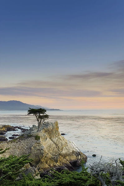 USA, California, Monterey Peninsula, 17 mile drive, Lone Cypress