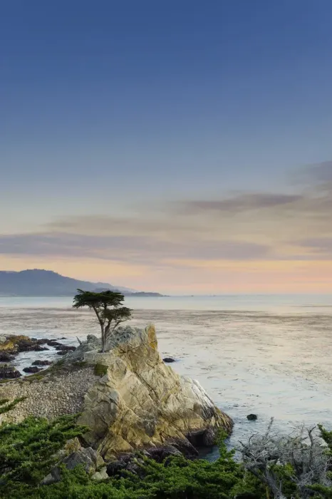 Framed Print : USA, California, Monterey Peninsula, 17 mile drive, Lone Cypress