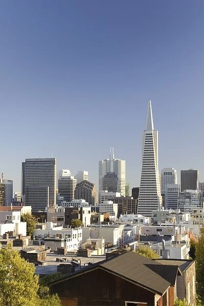 USA, California, San Francisco, Downtown Skyline and Transamerican Pyramid