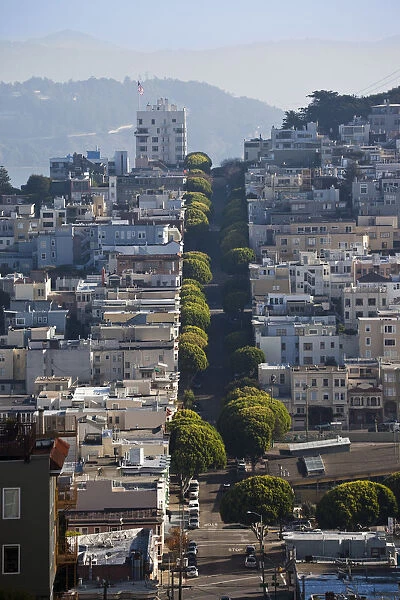 USA, California, San Francisco, Russian Hill, elevated view of North Beach area