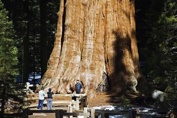 USA, California, Sequoia National Park