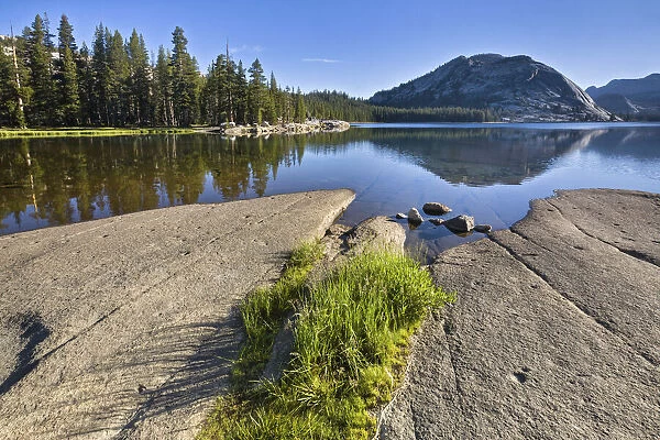 USA, California, Yosemite National Park, Tioga Pass, Tenaya Lake