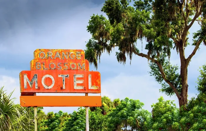 Framed Print : USA, Citra, Florida, 1950's Orange Blossom Motel Sign, Oak Tree Framed Print : USA, Citra, Florida, 1950's Orange Blossom Motel Sign, Oak Tree