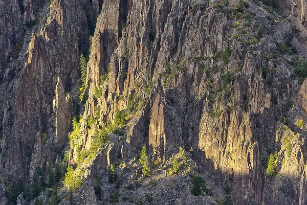 USA, Colorado, Montrose County, Black Canyon of the Gunnison National Park