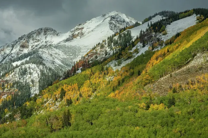 Framed Print : USA, Colorado, Rocky Mountains, San Juan Mountains, San Juan National Forest, Telluride, Highway 145, snow capped peak in autumn Framed Print : USA, Colorado, Rocky Mountains, San Juan Mountains, San Juan National Forest, Telluride, Highway 145, snow capped peak in autumn