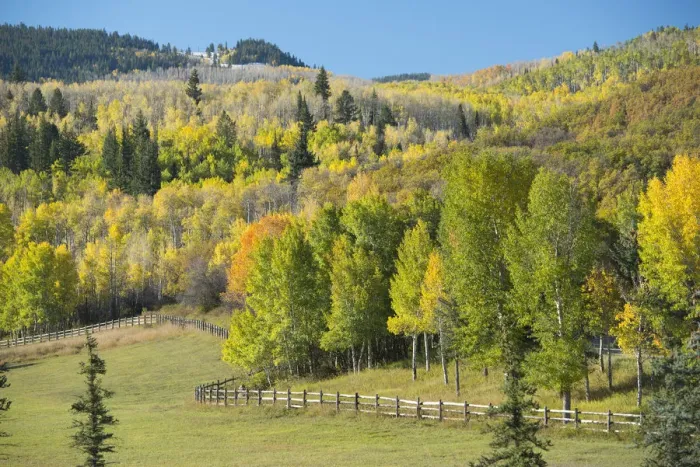 Framed Print : USA, Colorado, Rocky Mountains, Aspen Framed Print : USA, Colorado, Rocky Mountains, Aspen