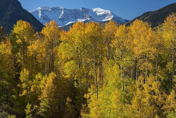 USA, Colorado, San Juan Mountain range in the fall