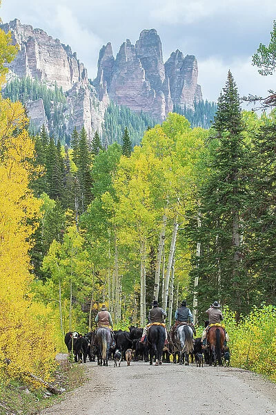 USA, Colorado, Uncompahgre national forest, cowboys in autumn at Owl Creek pass