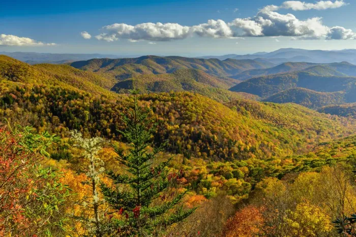 Framed Print : USA, Deep South, North Carolina, Southern Appalachians, Asheville, Blue Ridge Parkway Framed Print : USA, Deep South, North Carolina, Southern Appalachians, Asheville, Blue Ridge Parkway