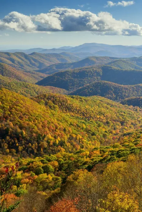 Framed Print : USA, Deep South, North Carolina, Southern Appalachians, Asheville, Blue Ridge Parkway Framed Print : USA, Deep South, North Carolina, Southern Appalachians, Asheville, Blue Ridge Parkway