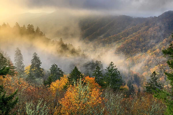 USA, Deep South, Tennessee, Great Smokey Mountains, National Park, sunrise