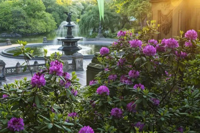 Framed Print : USA, East Coast, New York, Manhattan, Upper Westside, Central Park, Bethesda fountain Framed Print : USA, East Coast, New York, Manhattan, Upper Westside, Central Park, Bethesda fountain