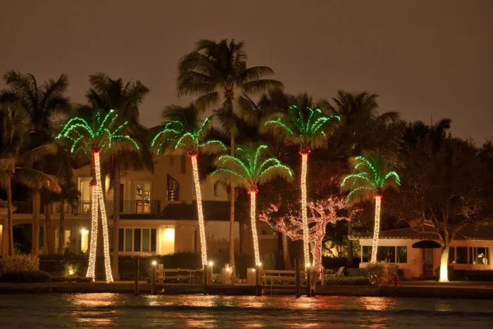 Framed Print : USA, Florida, Broward County, Fort Lauderdale, Illuminated Palm Trees