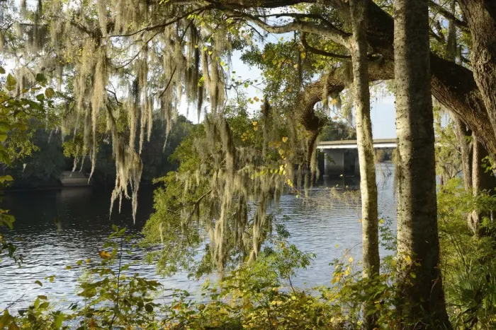 Framed Print : USA, Florida, Dixie County, Suwannee River Framed Print : USA, Florida, Dixie County, Suwannee River