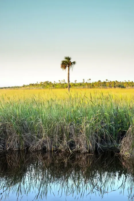 Framed Print : USA, Florida, Everglades, Sawgrass Prairies, River Of Grass, Everglades National Park Framed Print : USA, Florida, Everglades, Sawgrass Prairies, River Of Grass, Everglades National Park