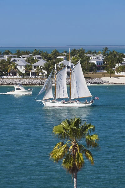 USA, Florida, Florida Keys, Key West, elevated view of sailing ships